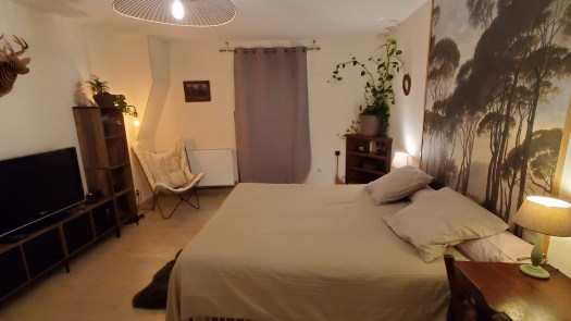 Chambre avec TV, box, enceinte connectée, livres…